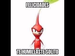 gato